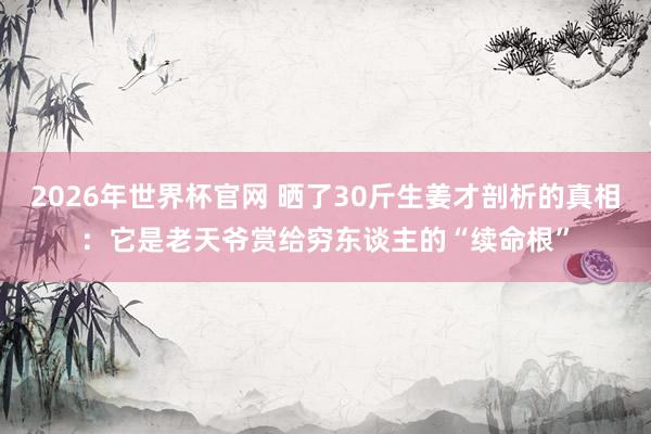 2026年世界杯官网 晒了30斤生姜才剖析的真相：它是老天爷赏给穷东谈主的“续命根”