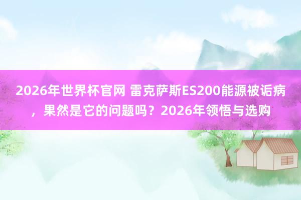 2026年世界杯官网 雷克萨斯ES200能源被诟病,果然是它的问题吗?2026年领悟与选购
