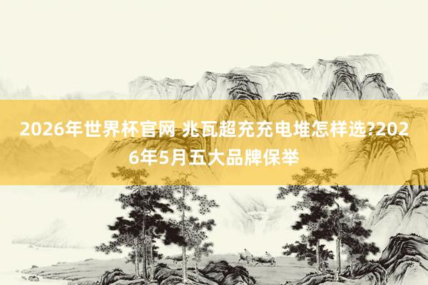 2026年世界杯官网 兆瓦超充充电堆怎样选?2026年5月五大品牌保举