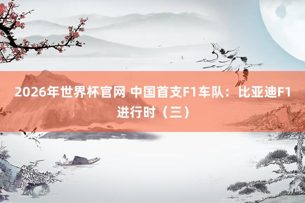 2026年世界杯官网 中国首支F1车队:比亚迪F1进行时(三)