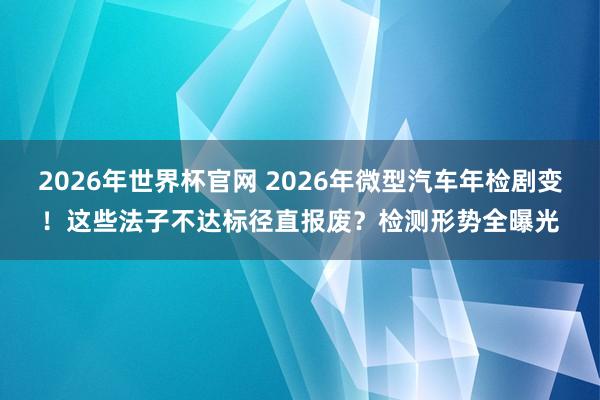 2026年世界杯官网 2026年微型汽车年检剧变!这些法子不达标径直报废?检测形势全曝光