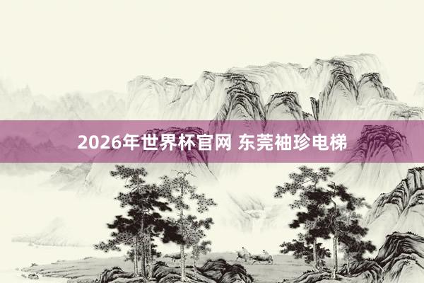 2026年世界杯官网 东莞袖珍电梯