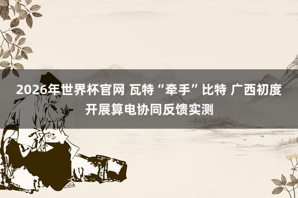 2026年世界杯官网 瓦特“牵手”比特 广西初度开展算电协同反馈实测