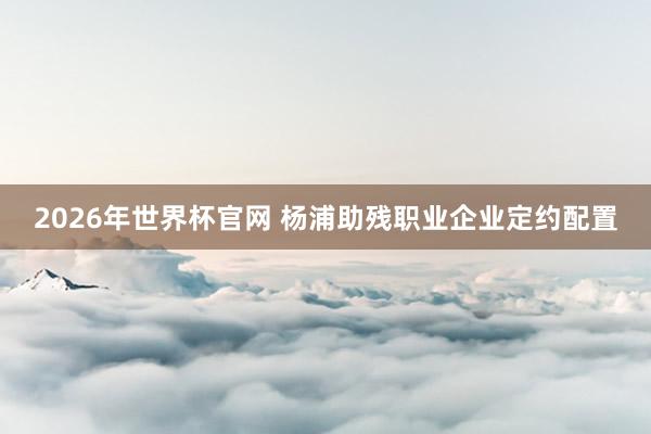 2026年世界杯官网 杨浦助残职业企业定约配置