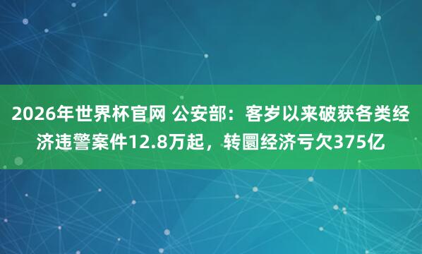 2026年世界杯官网 公安部:客岁以来破获各类经济违警案件12.8万起,转圜经济亏欠375亿