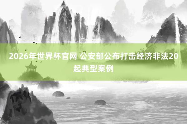 2026年世界杯官网 公安部公布打击经济非法20起典型案例