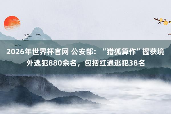 2026年世界杯官网 公安部:“猎狐算作”握获境外逃犯880余名,包括红通逃犯38名