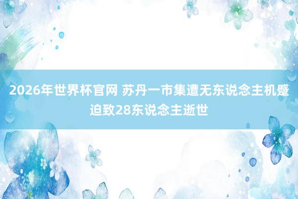 2026年世界杯官网 苏丹一市集遭无东说念主机蹙迫致28东说念主逝世