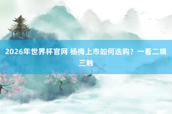 2026年世界杯官网 杨梅上市如何选购?一看二嗅三触