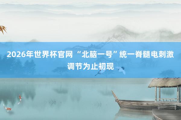 2026年世界杯官网 “北脑一号”统一脊髓电刺激调节为止初现