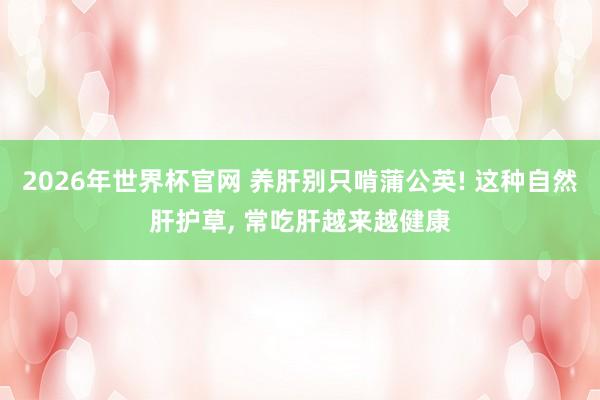 2026年世界杯官网 养肝别只啃蒲公英! 这种自然肝护草, 常吃肝越来越健康