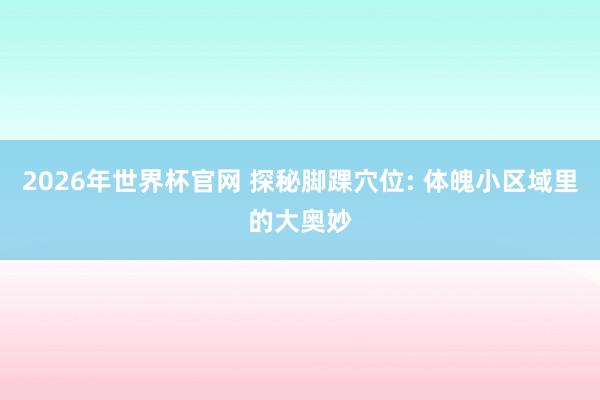 2026年世界杯官网 探秘脚踝穴位: 体魄小区域里的大奥妙