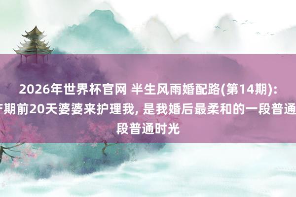 2026年世界杯官网 半生风雨婚配路(第14期): 预产期前20天婆婆来护理我, 是我婚后最柔和的一段普通时光