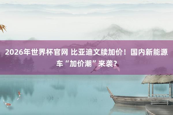 2026年世界杯官网 比亚迪文牍加价！国内新能源车“加价潮”来袭？