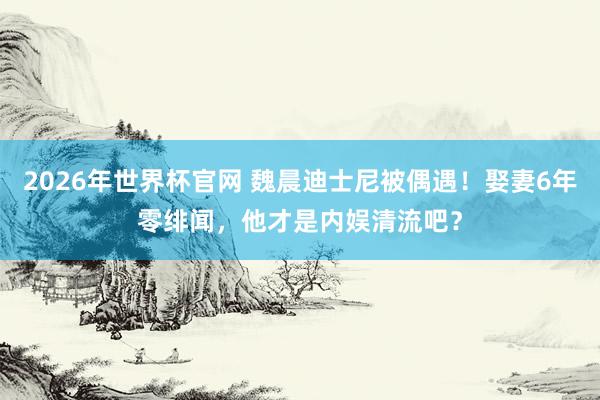 2026年世界杯官网 魏晨迪士尼被偶遇!娶妻6年零绯闻,他才是内娱清流吧?