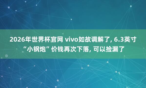 2026年世界杯官网 vivo如故调解了, 6.3英寸“小钢炮”价钱再次下落, 可以捡漏了