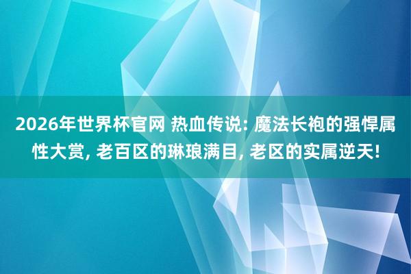 2026年世界杯官网 热血传说: 魔法长袍的强悍属性大赏, 老百区的琳琅满目, 老区的实属逆天!