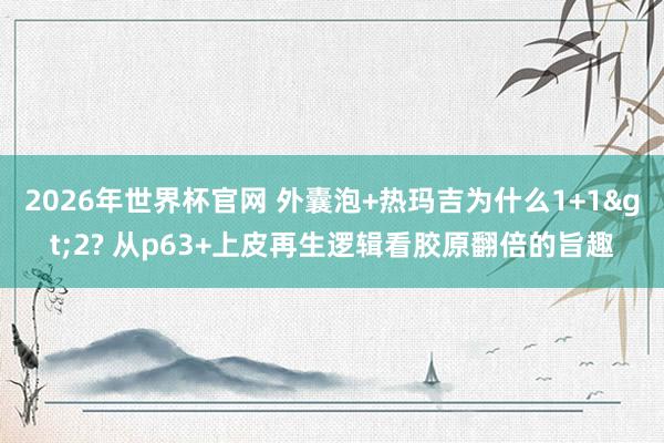 2026年世界杯官网 外囊泡+热玛吉为什么1+1>2? 从p63+上皮再生逻辑看胶原翻倍的旨趣