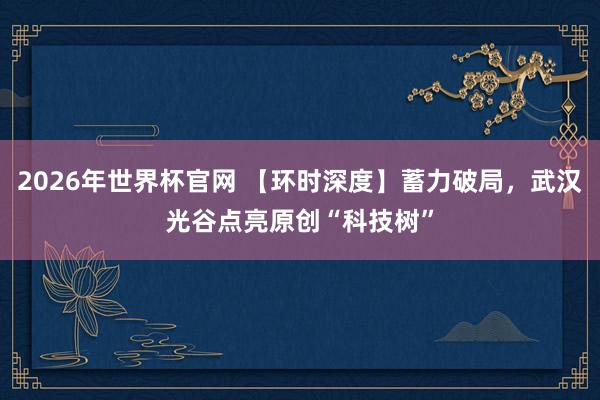 2026年世界杯官网 【环时深度】蓄力破局,武汉光谷点亮原创“科技树”
