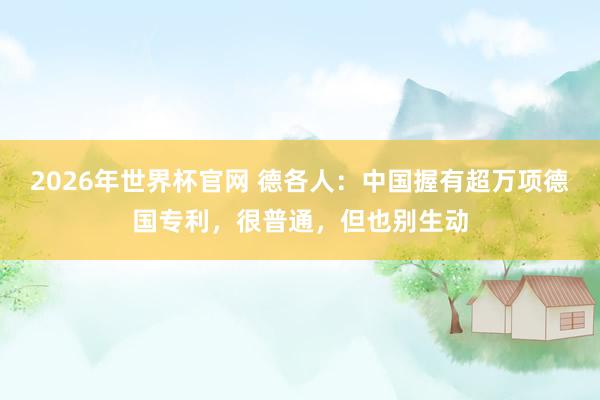 2026年世界杯官网 德各人:中国握有超万项德国专利,很普通,但也别生动