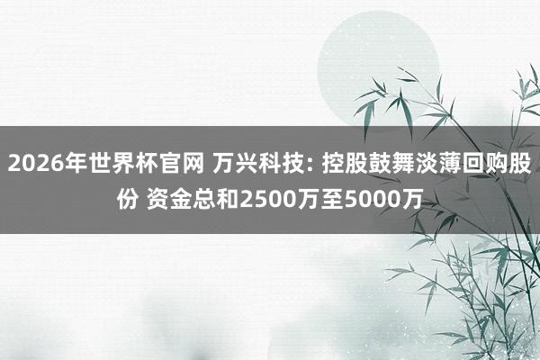 2026年世界杯官网 万兴科技: 控股鼓舞淡薄回购股份 资金总和2500万至5000万