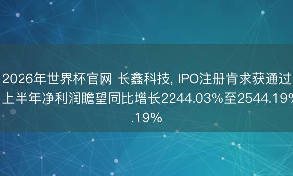 2026年世界杯官网 长鑫科技, IPO注册肯求获通过, 上半年净利润瞻望同比增长2244.03%至2544.19%