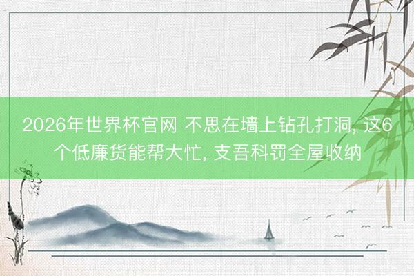 2026年世界杯官网 不思在墙上钻孔打洞, 这6个低廉货能帮大忙, 支吾科罚全屋收纳
