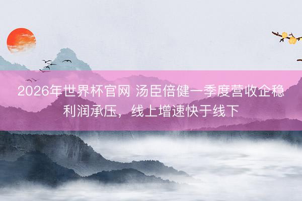 2026年世界杯官网 汤臣倍健一季度营收企稳利润承压,线上增速快于线下